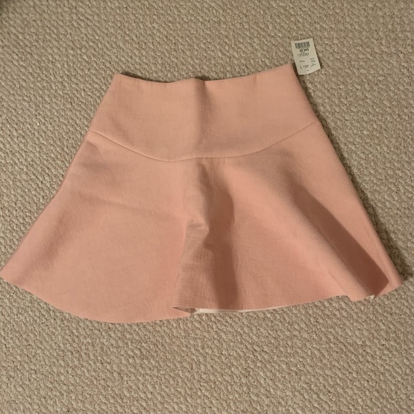 Pink high waisted skirt - Picture 1 of 2